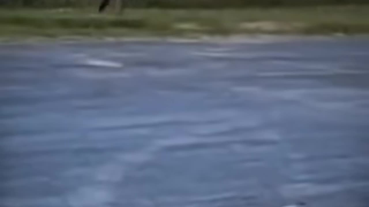 😱👻 You Won't Believe What They Caught on Camera! Ghostly Sighting | TheHauntingHour