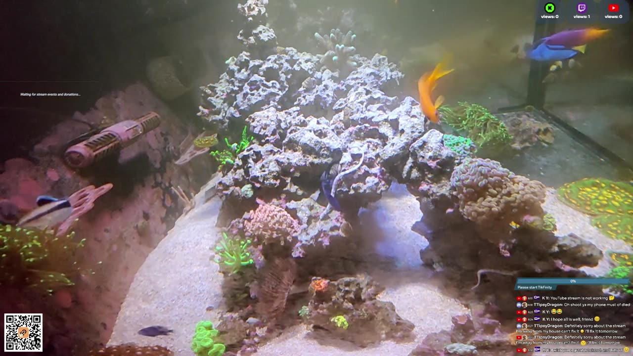 24/7 Real Live Reef Stream