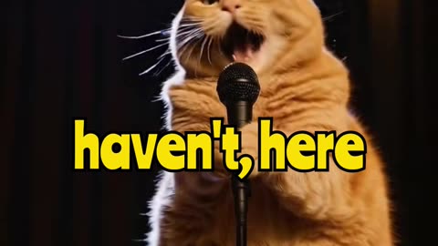 Cat Singing Soprano
