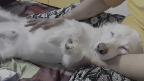 How happily he is lying in his mother's lap