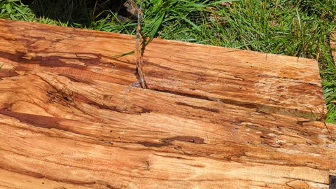 Water Sets the Wood on Fire