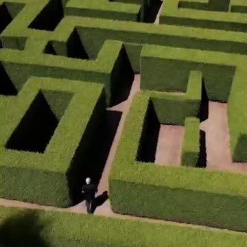 DWL Trying maze Runner