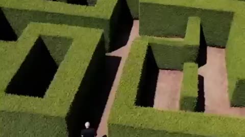 DWL Trying maze Runner