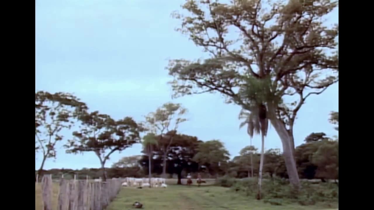 Pantanal 1990 - Capítulo 42 (Rede Manchete)