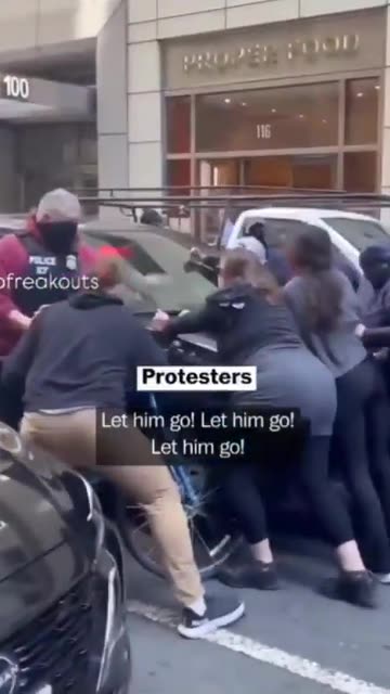 (-: ICE agents drove their car through the protesters :-)