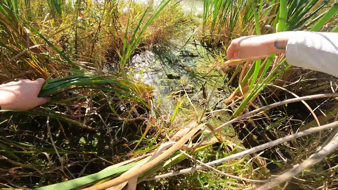 WHEEL PICKS OUR BAITS!!!