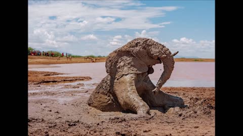 Dr Eli Elephant presents...The Creed of the Old South by Basil Gildersleeve pt (01 of 02)