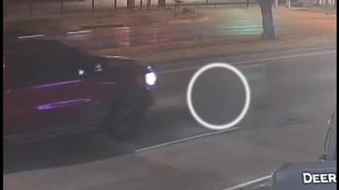 Police Seeking Driver Who Intentionally Ran Over Dog Twice
