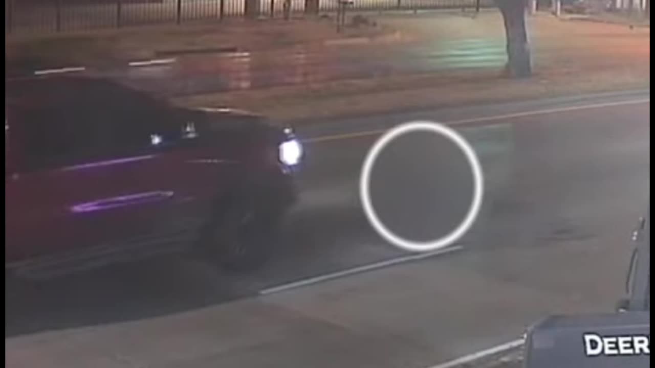 Police Seeking Driver Who Intentionally Ran Over Dog Twice