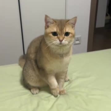 She is cute as always