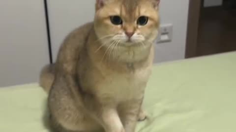 She is cute as always