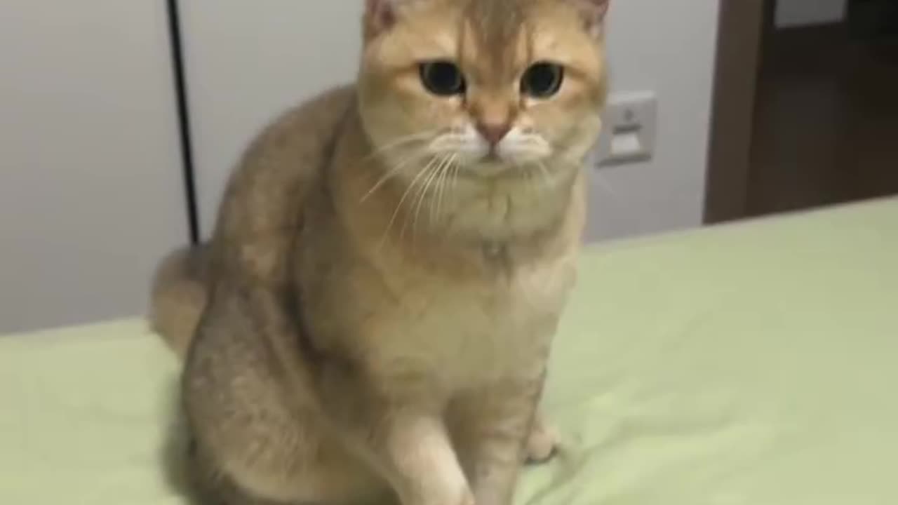 She is cute as always