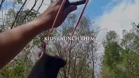 We reap what we sow.
