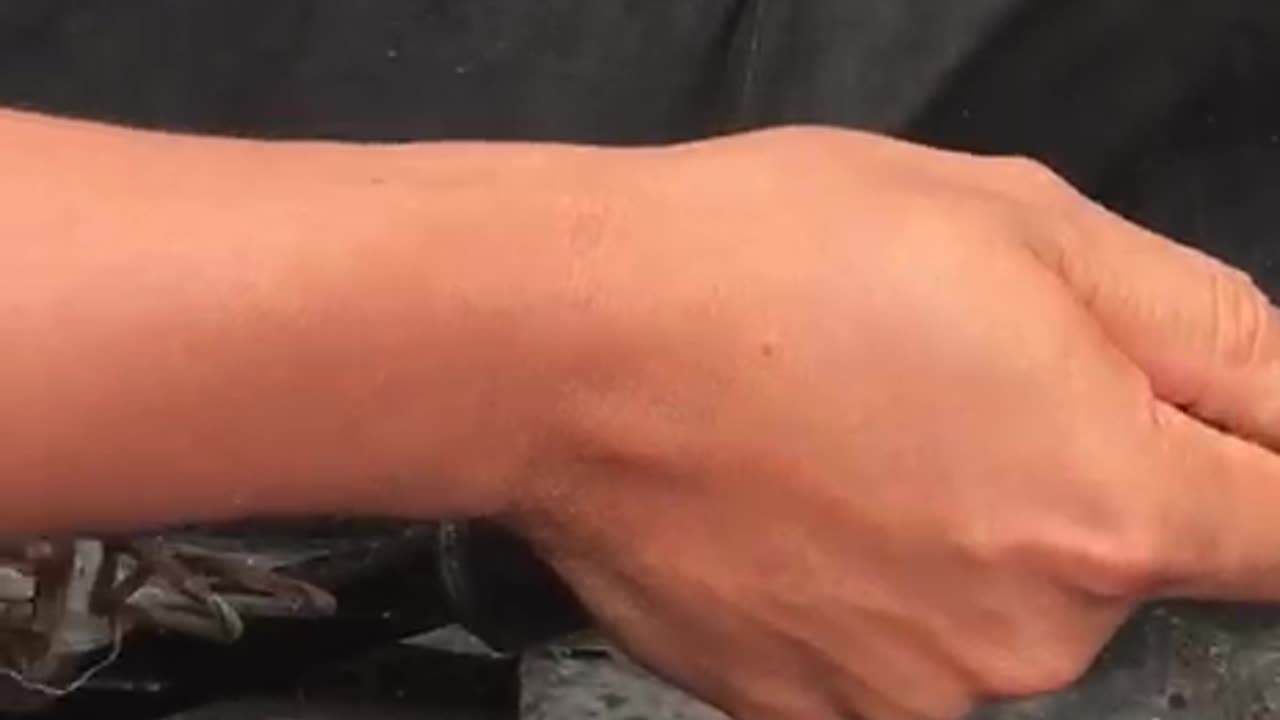 New Buggy Takes A Hit