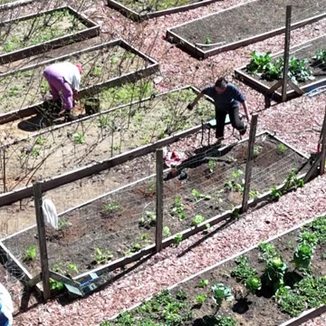 Getting Dirty in the Garden