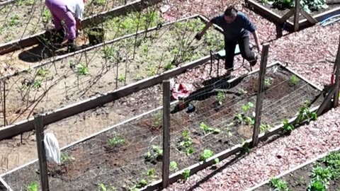 Getting Dirty in the Garden