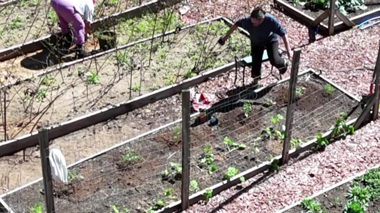 Getting Dirty in the Garden