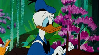 Donald's Fountain of Youth (1953) - Full Movie