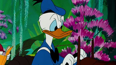 Donald's Fountain of Youth (1953) - Full Movie