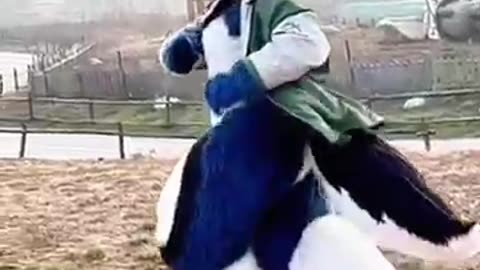 .