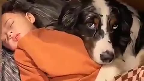 😍😽🐩🐕‍🦺🦮😍😘cute cute
