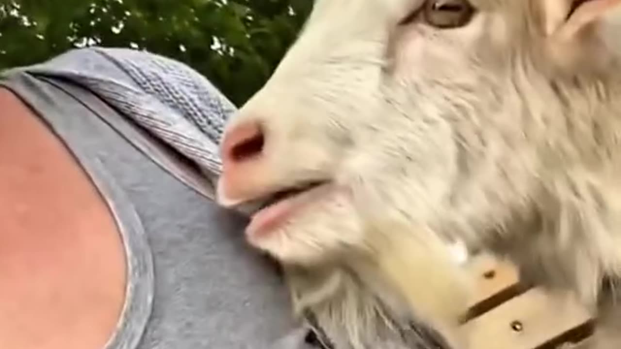 Funny