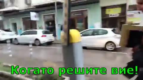 Георги Тахов за това кога ще бъдат освободени животните във Велинград: "Когато решите вие"