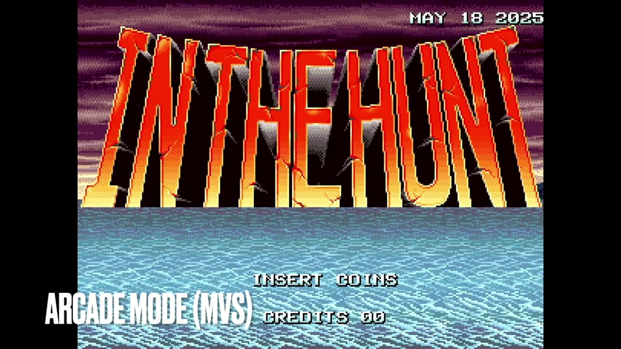 Neo Geo Getting Port of In The Hunt by Fans