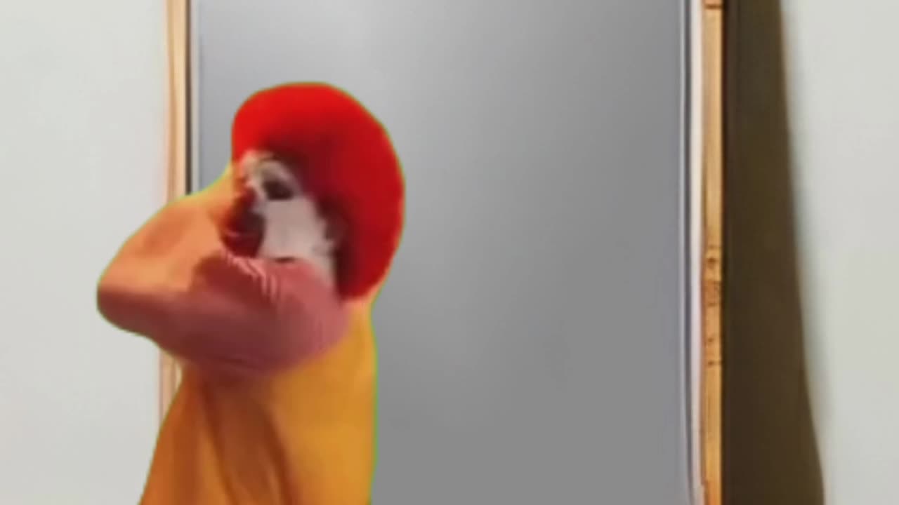 The man in the mirror