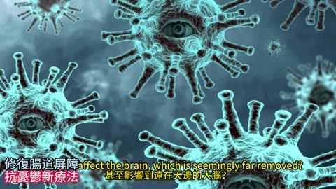 Reelin蛋白 修復腸道屏障 抗憂鬱新療法