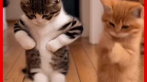 😏Show off and i Love It😏