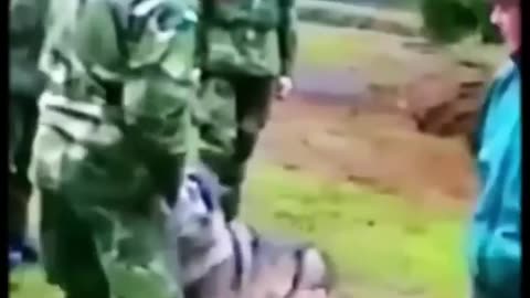 Woman handles the wolf like a pro.