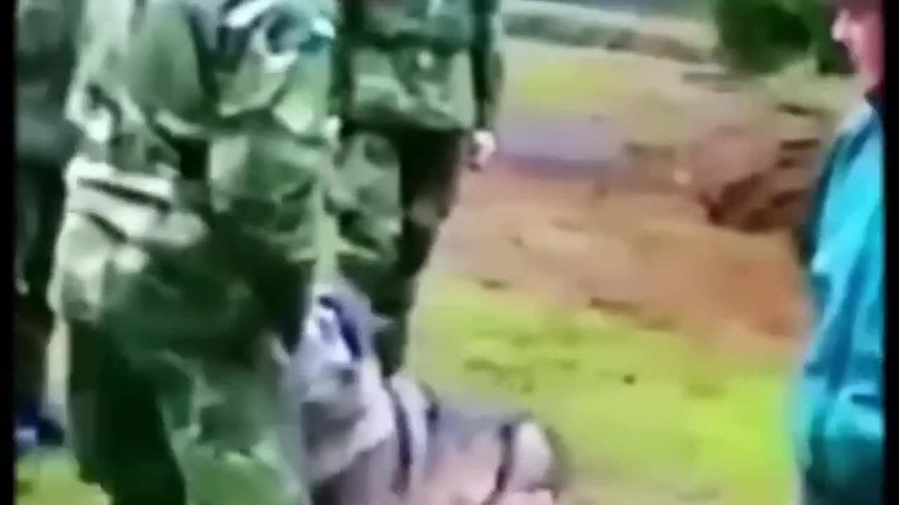 Woman handles the wolf like a pro.