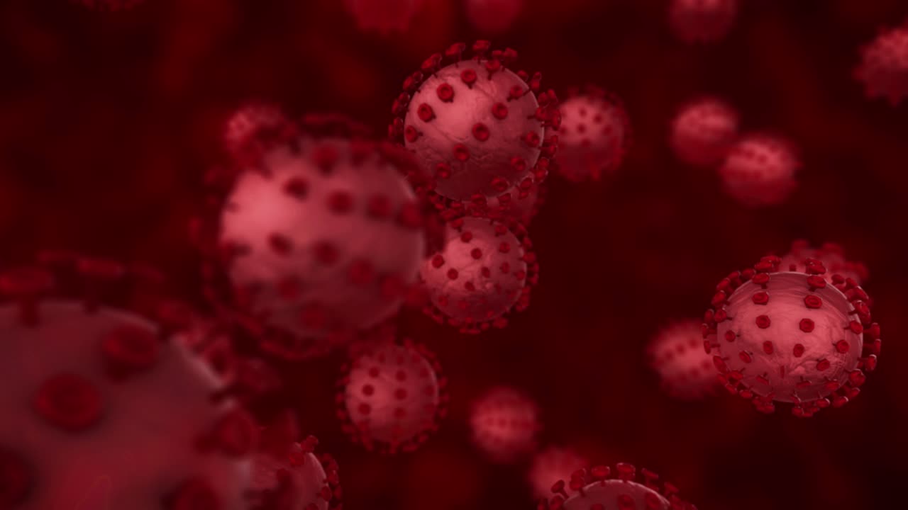 "An Animation of Virus | How It Infects the Body"