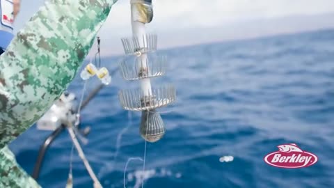 HUGE Squid Fishing in Italy_part4