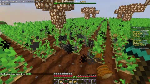 Minecraft Skyblock Just Got OP With Auto Replant! (Complex Gaming)