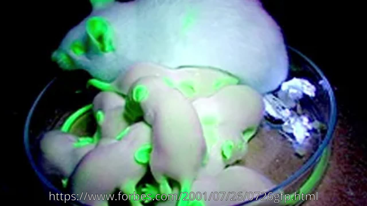 REAL LIFE FRANKENSTEIN EXPERIMENTS HAPPENING NOW-ARE WE REPEATING BIBLICAL HISTORY?