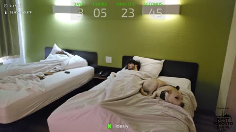 Livestreamer Lil Dealy Pats His Dog Peaches On The Head