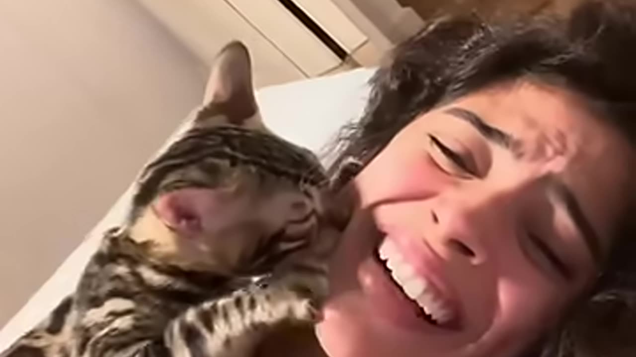 🐱_Are you okay_Don’t be sad _foryou _cat _funnycats _funny _catlover
