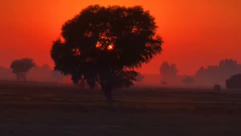 My Village Sunset Time ❤ #maxrecords #villagelife #larkana #sindh #pakistan