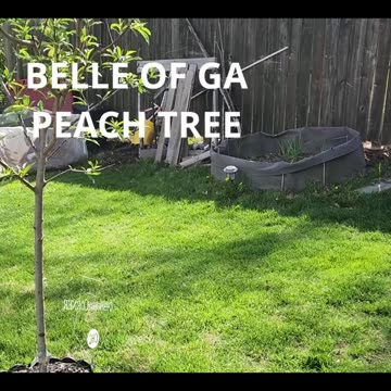 Aisizon Tour - #catshobbycorner #gardening