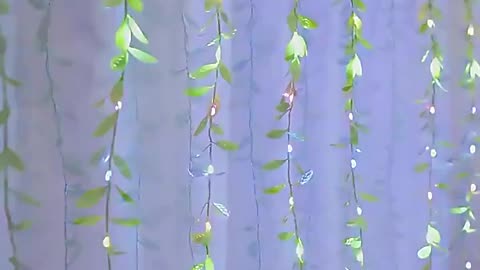 Create Magical Moments with our LED Willow Vine Fairy Lights