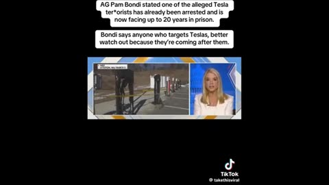 Bondi and Tesla vandals ..