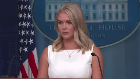 Leavitt Makes Jacqui Heinrich Admit that Ukraine War Would have Never Started Under Trump