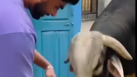 AQOQhtP_E1IHF4Emeskoqbn3_Kyd2xkzgcyleUvOCWGyzUcdVhfGFafBuWkSPk9-W_X62-weD913kqdYSF2v13MT