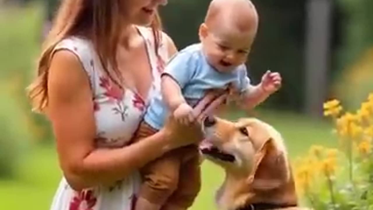 Dog Rescue Video