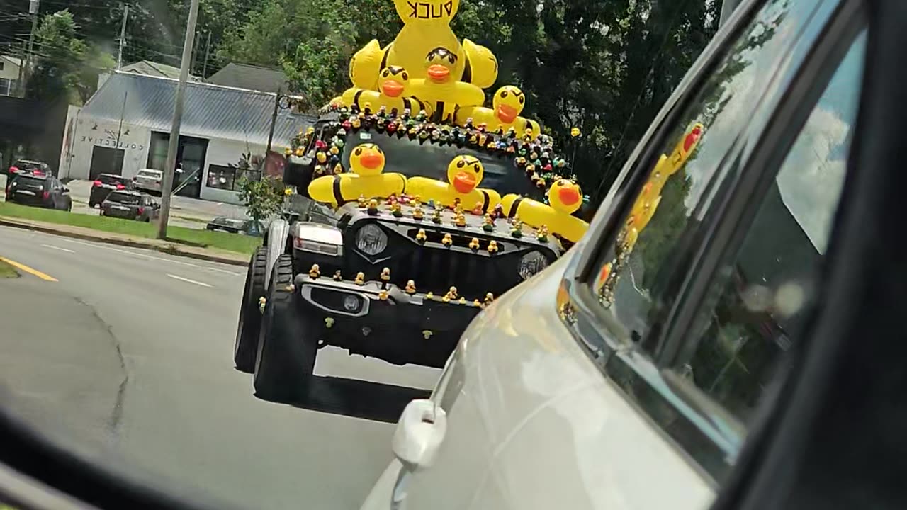Angry Rubber Ducks Cover Apocalypse Vehicle