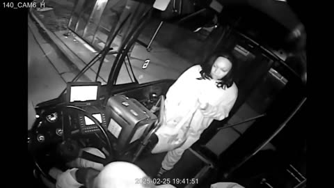 This lady turned a bus driver into a punching bag.