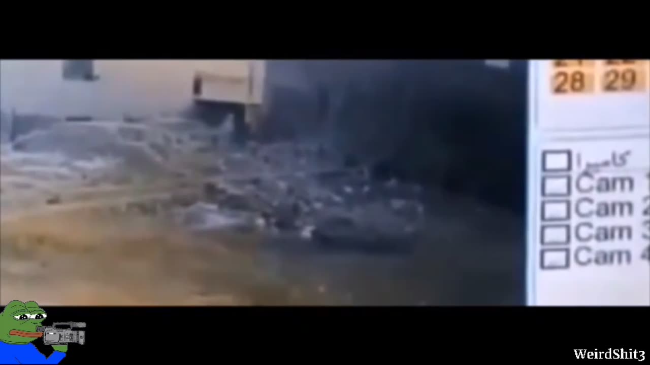 The most Fascinating Russian Bigfoot footage