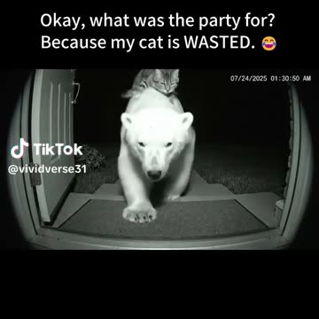 What party did they attend because my cat is wasted